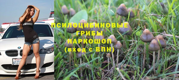 кокс Нея