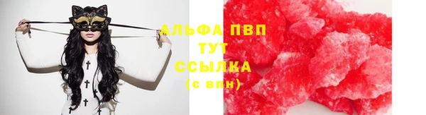 ПСИЛОЦИБИНОВЫЕ ГРИБЫ Наволоки