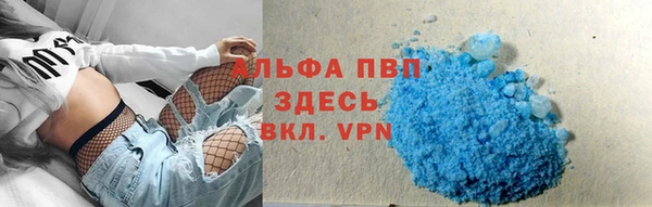 стаф Белокуриха